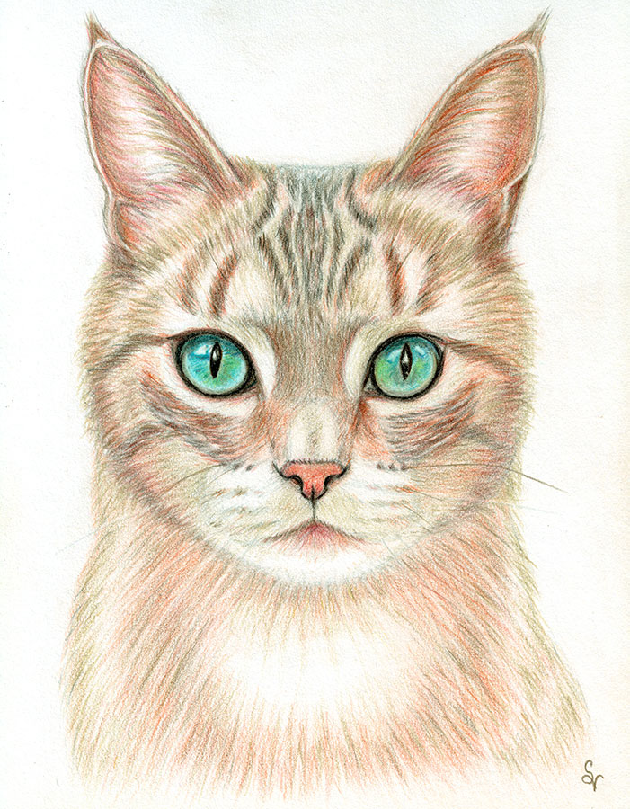 custom portrait of a ginger cat for sale